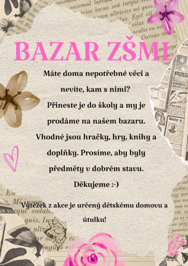 &Scaron;koln&iacute; bazar